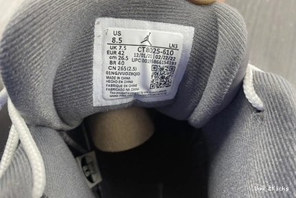 Jordan Durable 12 STEALTH CT8025-610 Air 754 0713